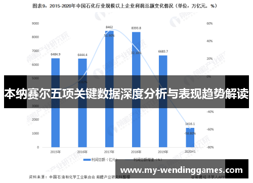 本纳赛尔五项关键数据深度分析与表现趋势解读
