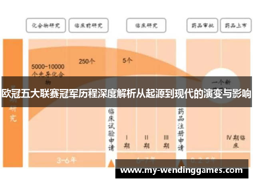 欧冠五大联赛冠军历程深度解析从起源到现代的演变与影响
