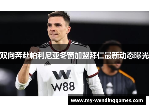 双向奔赴帕利尼亚冬窗加盟拜仁最新动态曝光