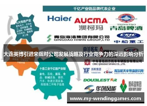 大连英博引进宋岳对公司发展战略及行业竞争力的深远影响分析