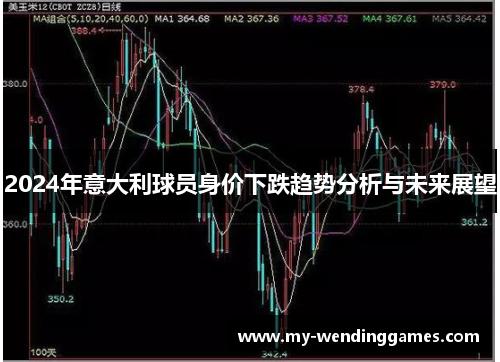 2024年意大利球员身价下跌趋势分析与未来展望