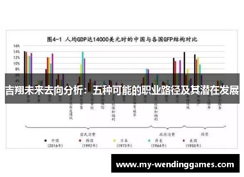 吉翔未来去向分析：五种可能的职业路径及其潜在发展