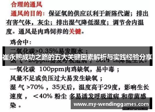 崔永熙成功之路的五大关键因素解析与实践经验分享