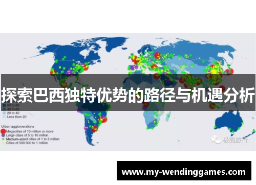 探索巴西独特优势的路径与机遇分析