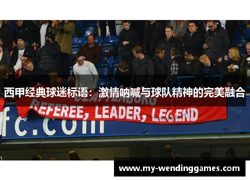 西甲经典球迷标语:激情呐喊与球队精神的完美融合