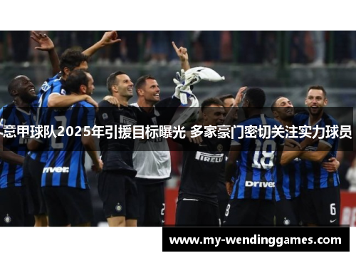 意甲球队2025年引援目标曝光 多家豪门密切关注实力球员