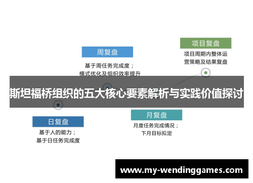 斯坦福桥组织的五大核心要素解析与实践价值探讨