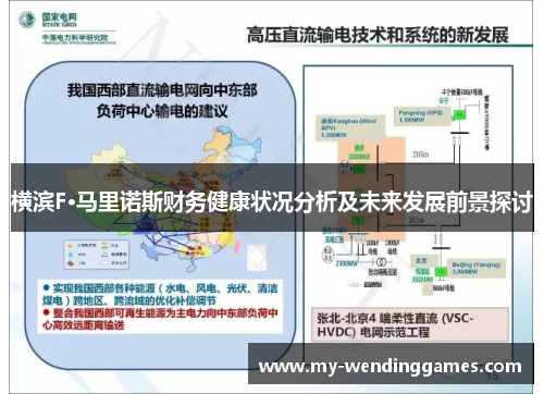 横滨F·马里诺斯财务健康状况分析及未来发展前景探讨