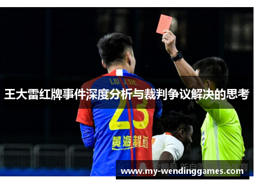 王大雷红牌事件深度分析与裁判争议解决的思考