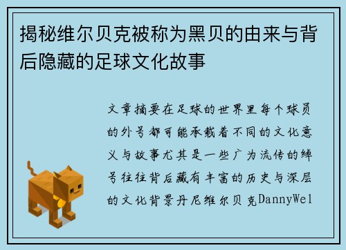 揭秘维尔贝克被称为黑贝的由来与背后隐藏的足球文化故事